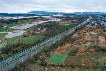 Cumpărarea vinietei în Cehia