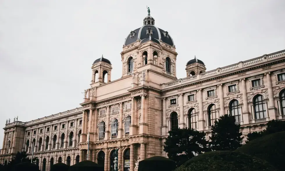 Achiziționarea vinietei austriece