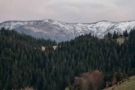 Ghid pentru achiziționarea vignetei și sfaturi de călătorie în România