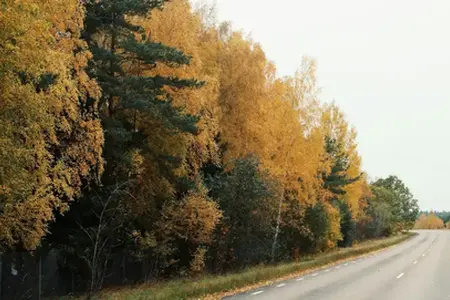 Ваколiцы Кладно са спазненнем завяршылi вялiкi рамонт аўтамагiстралi D6.