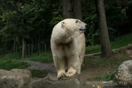 Cseh közeledési lehetőségek autópályán